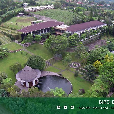 Amaryllis Boutique Resort Paragajen エクステリア 写真