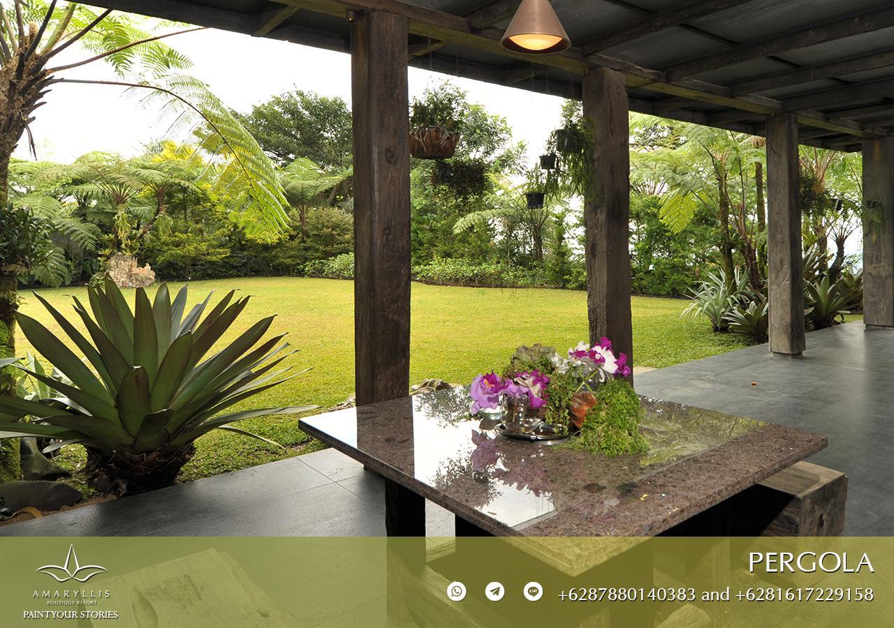 Amaryllis Boutique Resort Paragajen エクステリア 写真