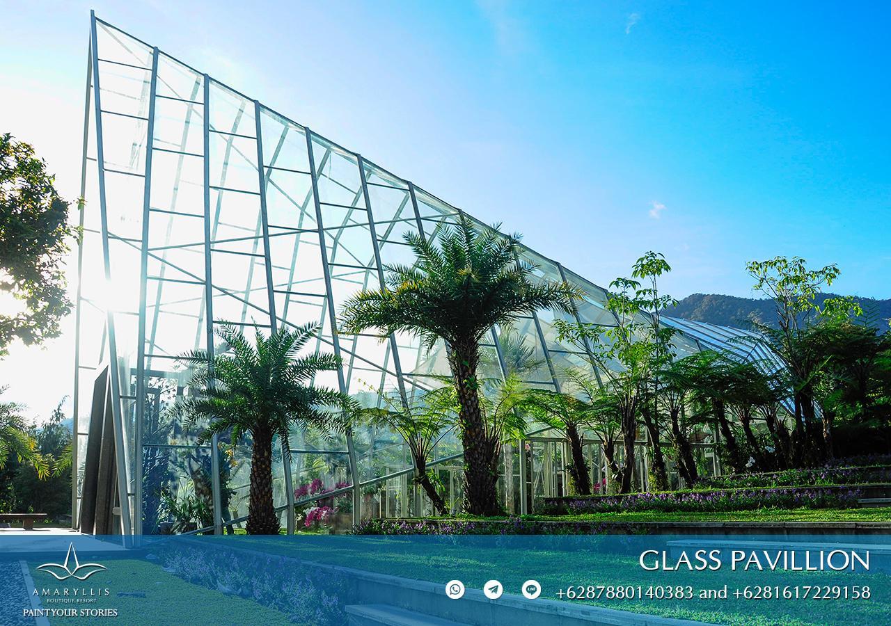 Amaryllis Boutique Resort Paragajen エクステリア 写真